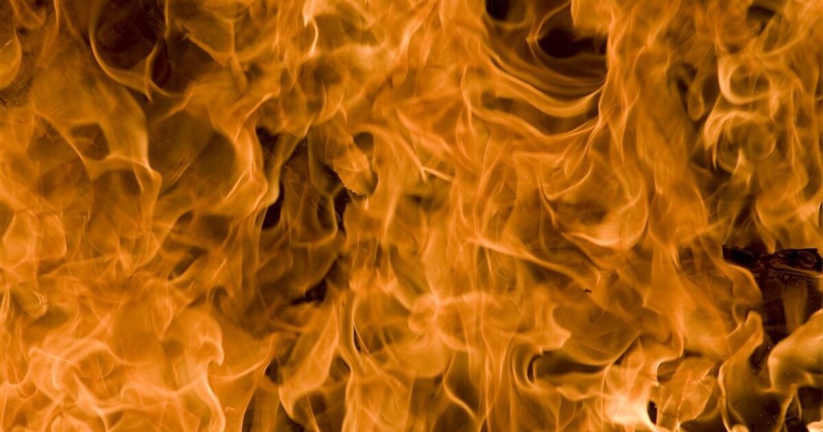 Flink stuk rietland verwoest door brand