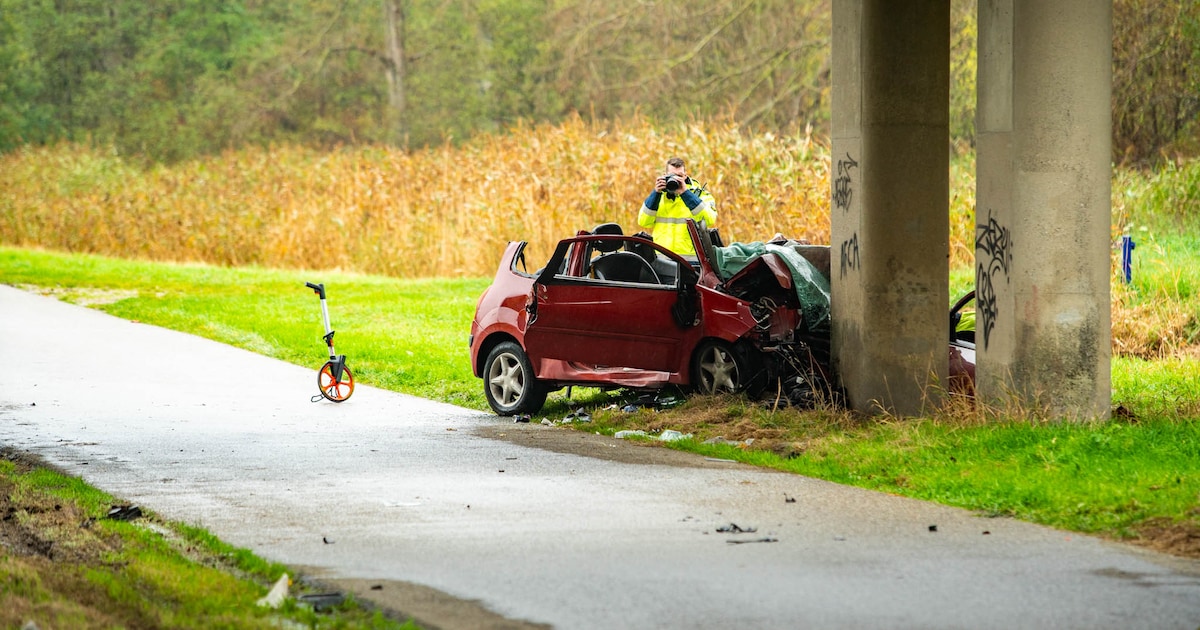 Auto eindigt tegen pijler van viaduct in Almere: beknelde man ernstig gewond