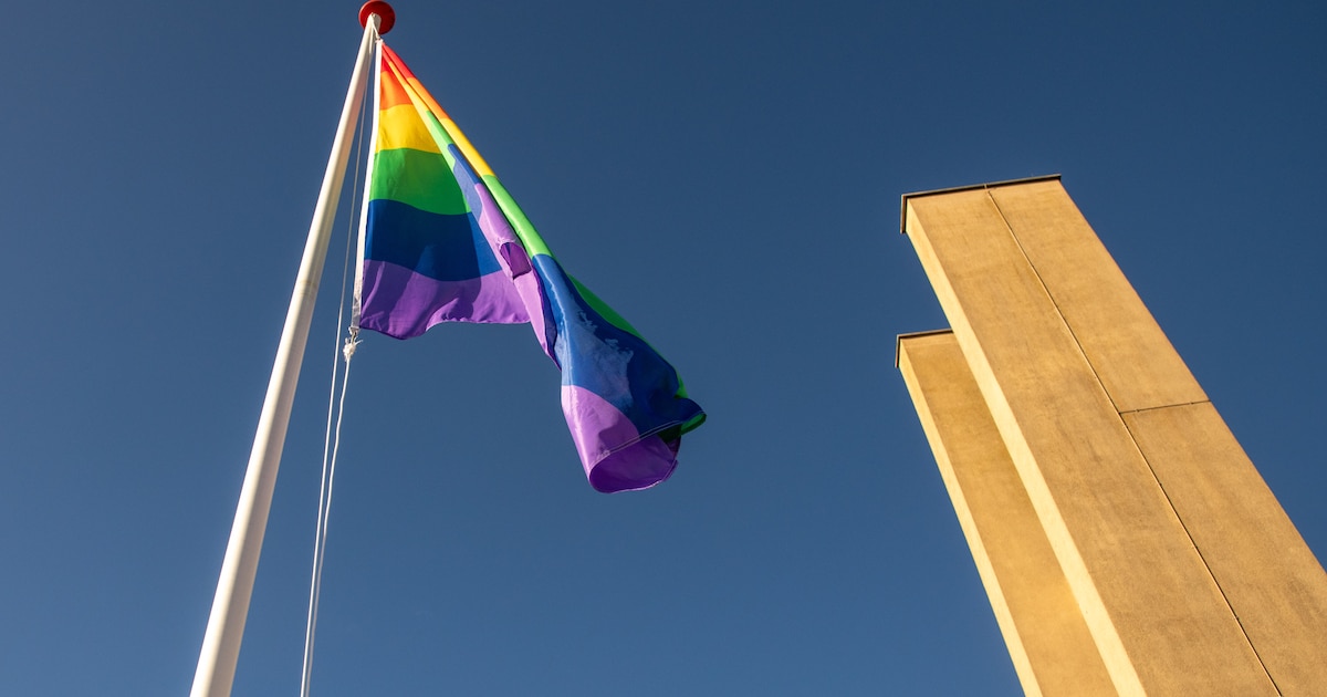 Regenboogvlaggen in Oldebroek al dezelfde dag gestolen: ‘Dit is toch wel bijzonder sneu’