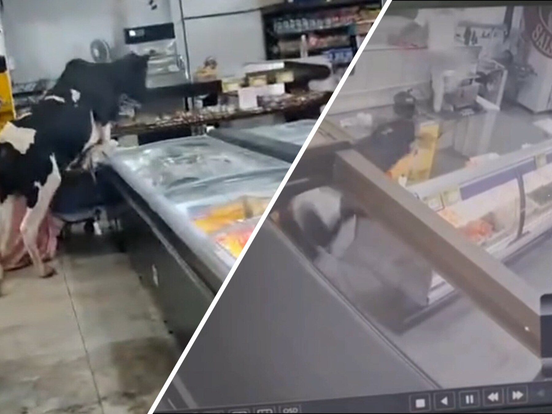 KIJK | Chaos in Braziliaanse supermarkt: stier jaagt op slager
