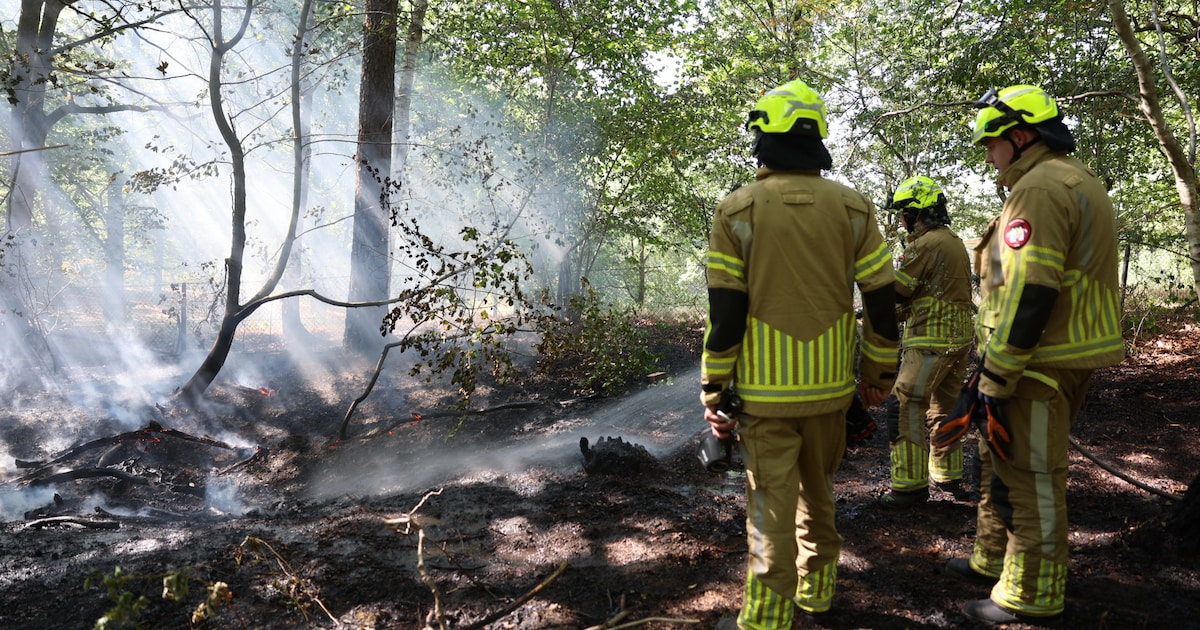 Bosbrand bij Nationaal Militair Museum in Soest