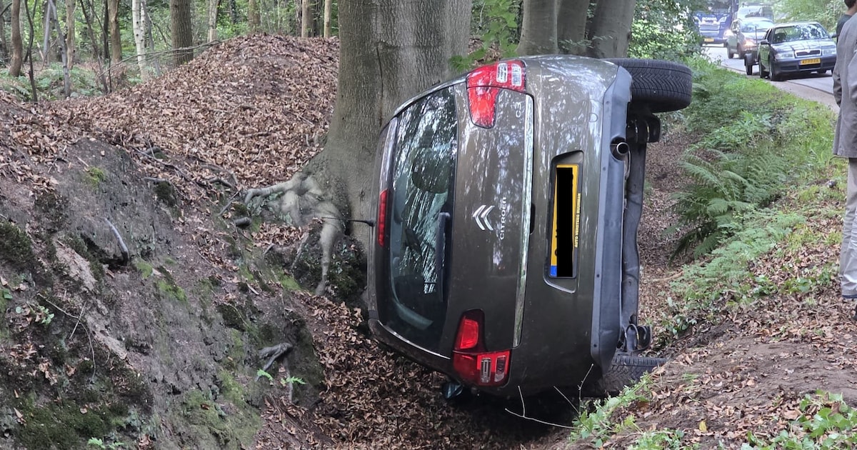 Auto belandt in greppel in bossen tussen Putten en Nijkerk