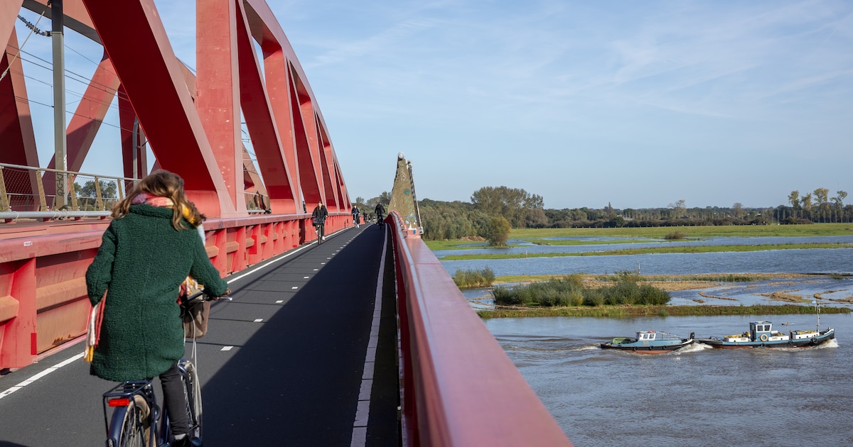 ‘Duizenden euro’s schade’ aan Hanzeboog bij Hattem: brug mikpunt van vandalen