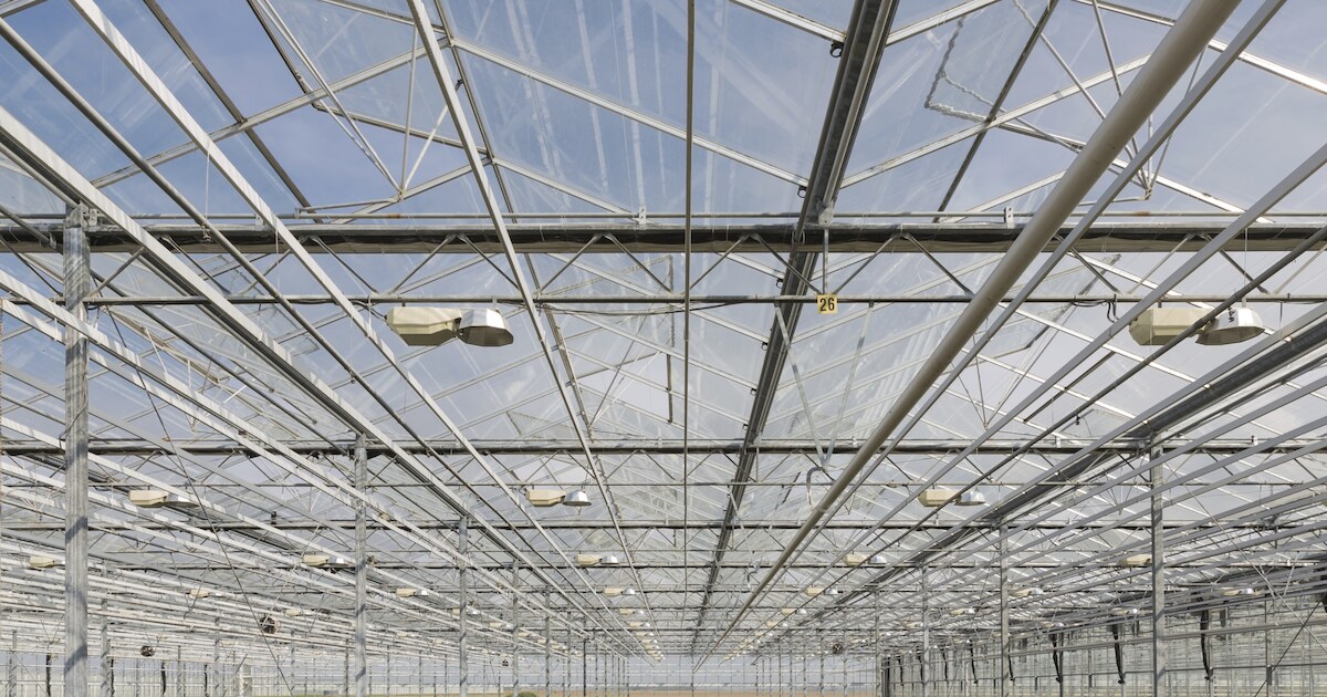 Espel blij met scherpere regels voor huisvesten seizoensarbeiders | Noordoostpolder