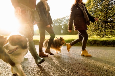 Wandeltocht in Vragender