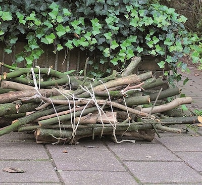 Inwoners van Elburg kunnen hun snoeihout laten ophalen