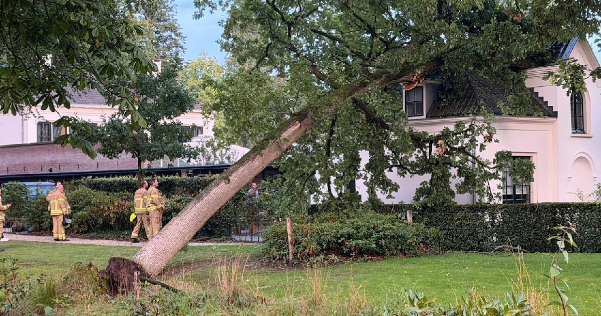 Grote boom valt op dak van Kasteel Staverden in Ermelo