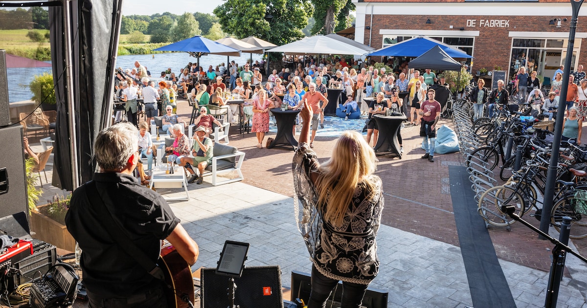Gratis muziekfestival met lokale en regionale artiesten op plein in Dalfsen