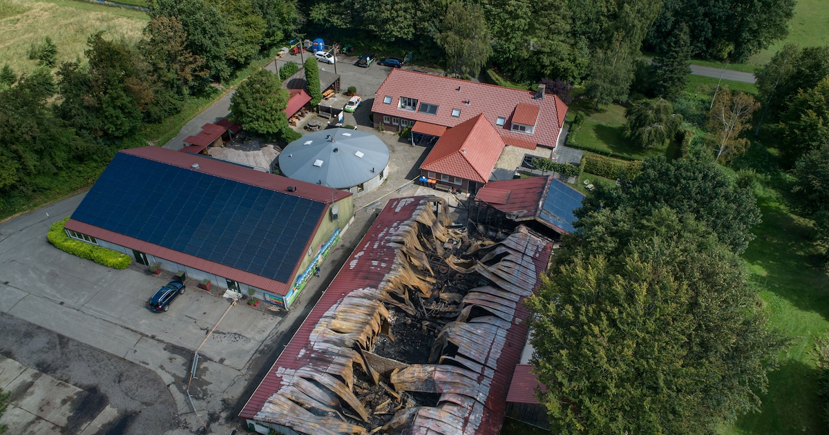 Brand verwoest gebouw op park van Han, toch is hij opgelucht: ‘Niet zo erg als toen’