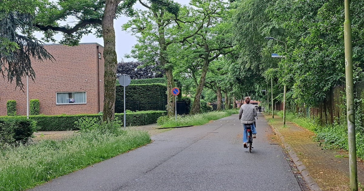 Bewoners zien plots borden voor betaald parkeren in deze straten, maar dat blijkt een fout