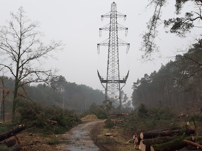 Overijssel legt noodzakelijke werkzaamheden aan stroomnet stil vanwege te hoge uitstoot van stikstof