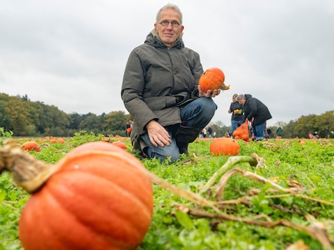 Jan Overesch met zijn hakkaido-pompoenen. Op de achtergrond bezoekers die de oranje bollen rapen voor eigen gebruik.