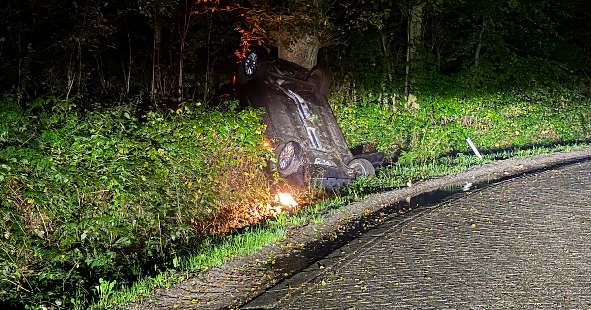 Auto eindigt verticaal tegen boom na ongeval in Putten, bestuurder had ...