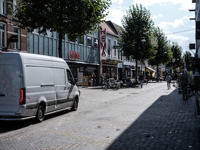 Vergroening winkelstraat kan ook te ver gedaan, vinden winkeliers: ‘Dit is geen bos’