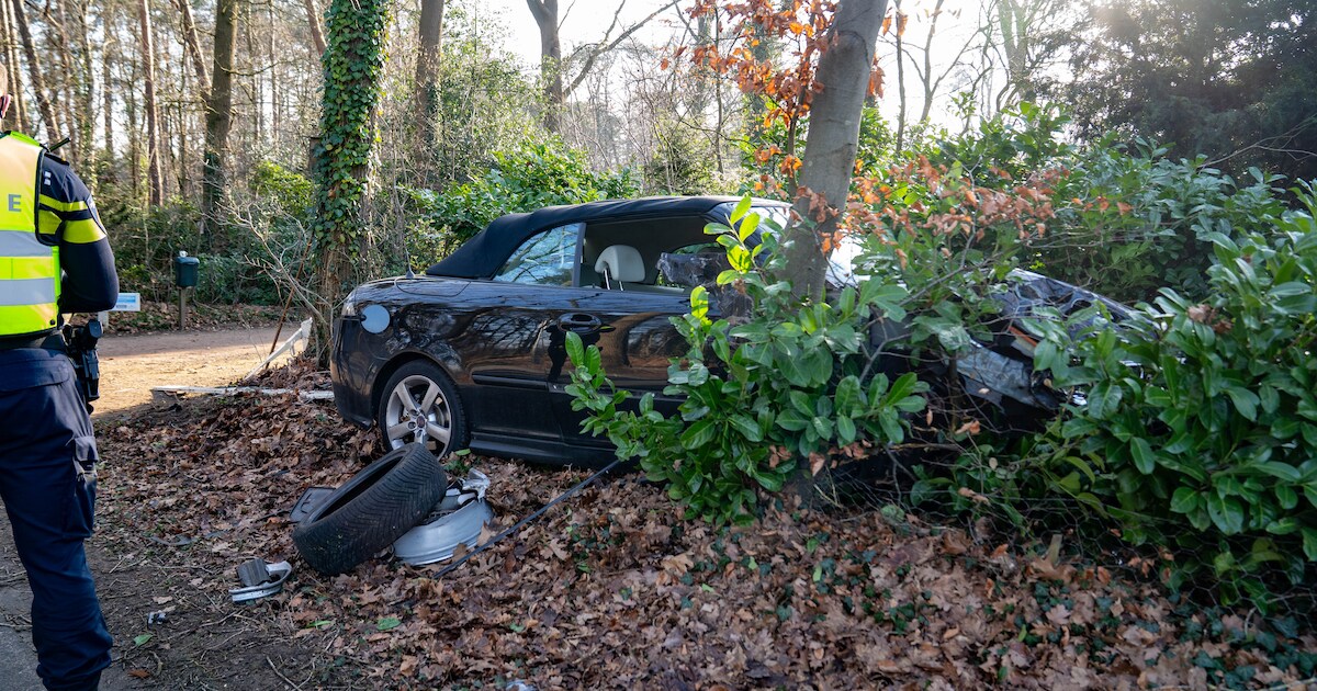 Auto rijdt dwars door hek en eindigt tegen boom bij Lettele | Regio ...