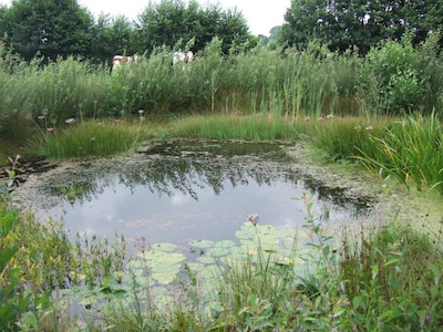 Acht agrariërs bij Brummen krijgen 600.000 euro voor gebiedsplan