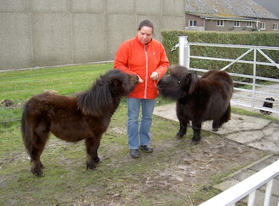Marcella (67) maakt altijd het ontbijt klaar, tot een klein wondje alles verandert