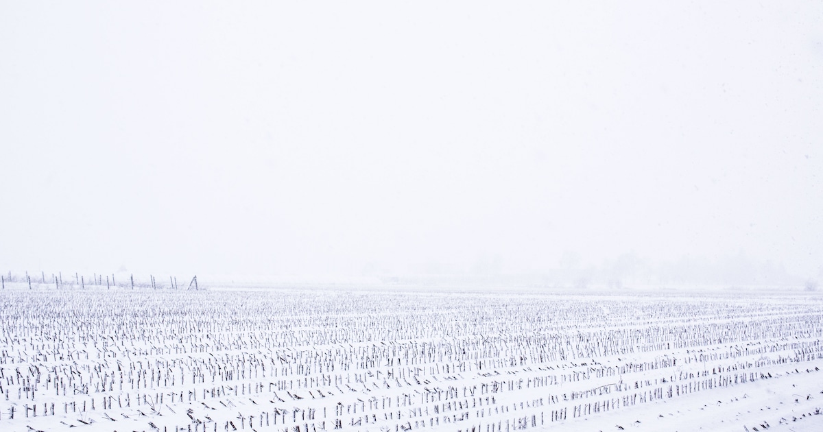 Sneeuwbuien, maar ook opklaringen in Ommen in de nacht
