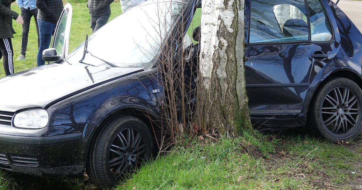 Automobilist gewond na botsing tegen boom bij Rheezerveen