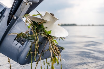 Drones ingezet voor monitoring van invasieve waterplanten rond Wieden-Weerribben