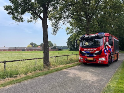Brandweer spuit water op dak van varkensschuur in Neede vanwege warmte