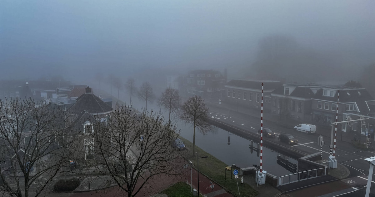 Code geel in Friesland, Groningen en Drenthe vanwege dichte mist: zicht minder dan 200 meter