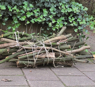 Gemeente Elburg haalt in juni weer snoeihout op