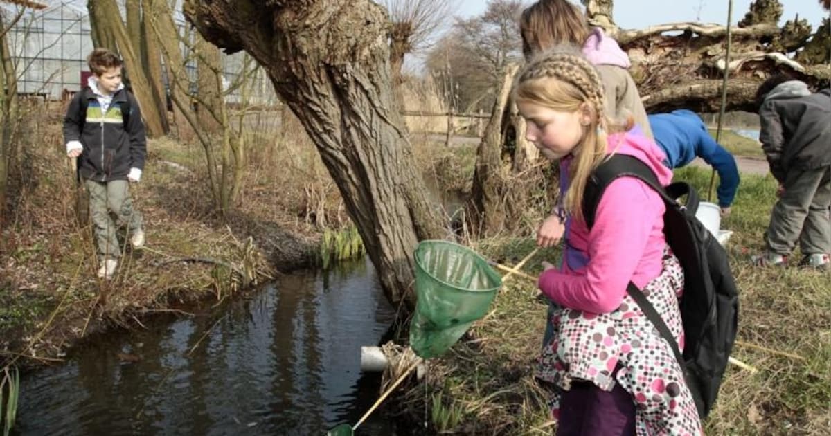 Natuurles in Zutphen terug van weggeweest, wel nieuwe vorm