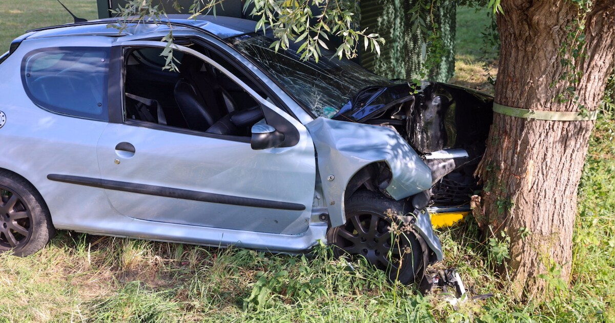 Auto botst frontaal tegen boom in Woudenberg: twee gewonden