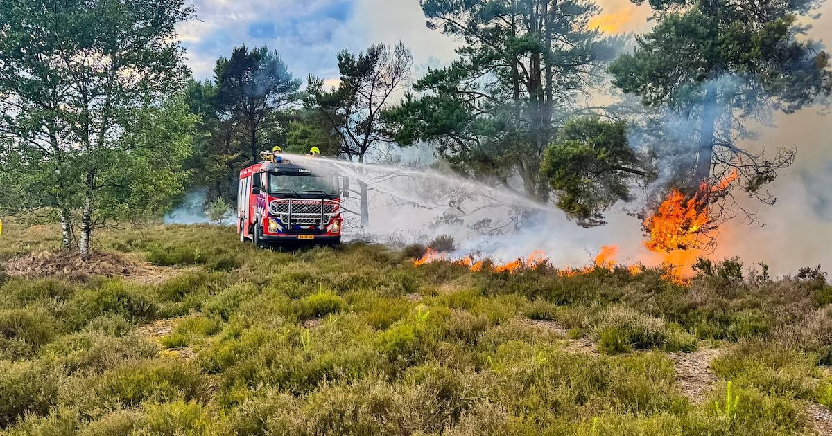 Cruciale brandput kan niet worden aangeslo­ten door vol stroomnet, burgemeester bezorgd