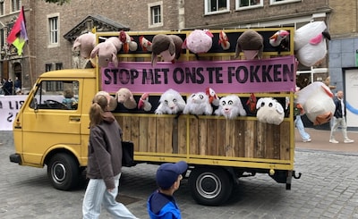 Extinction Rebellion komt met veewagen vol knuffeldieren naar Amersfoort