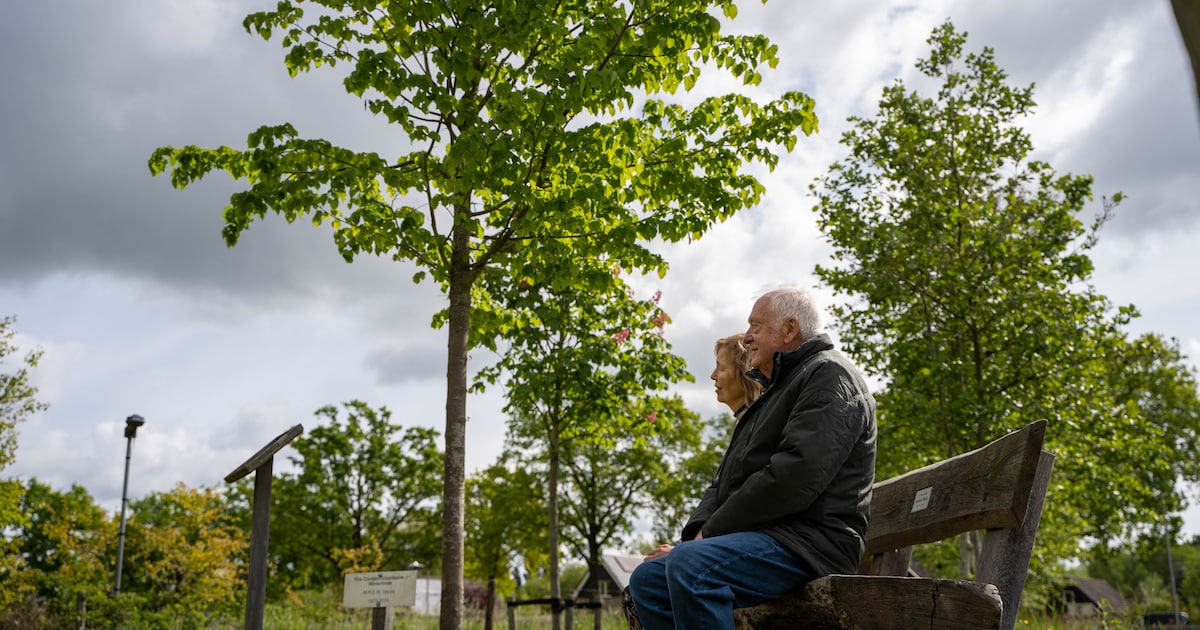 Bert (80) loopt naar de lindenboom van zijn overleden zoon: ‘Ik weet dat hij deze plek prachtig had 
