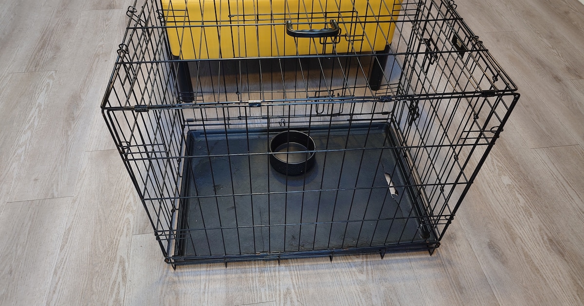 Na overlast in de buurt van Almere neemt politie hond in beslag