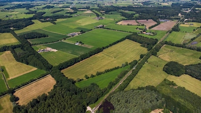 Omwonenden leveren kritiek op zonnepark Raalte: ‘Kijk ook naar wat er verloren kan gaan’