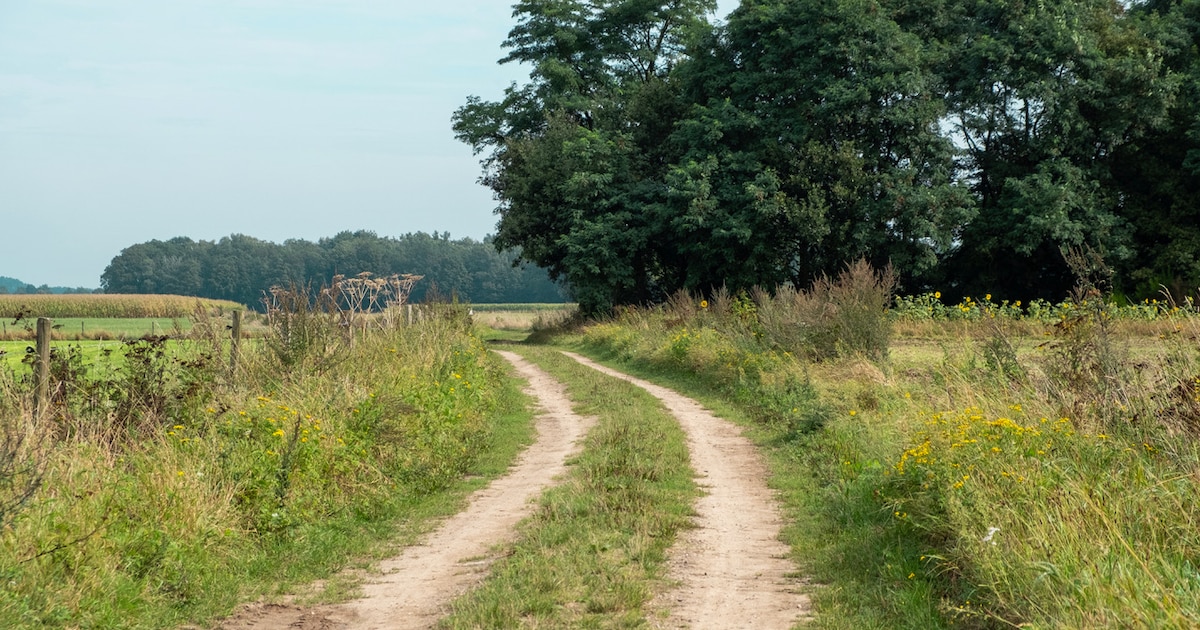 IVN houdt Klein Beekermarkwandeling in Loerbeek