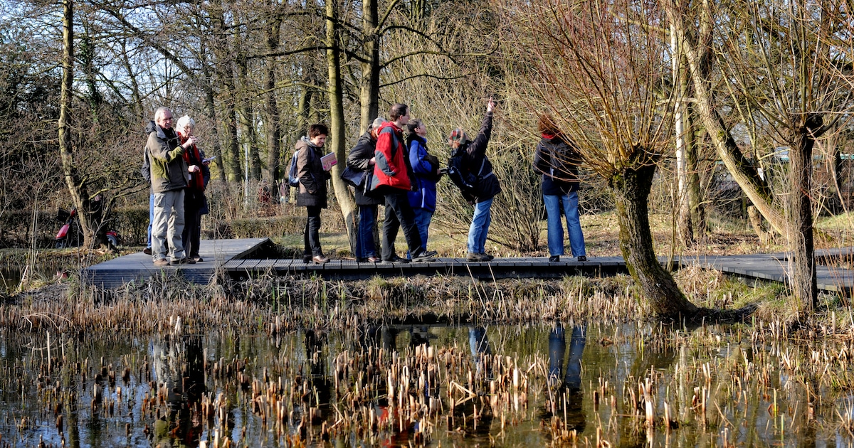 Nationale Natuurwerkdagen in het Rijk van Nijmegen