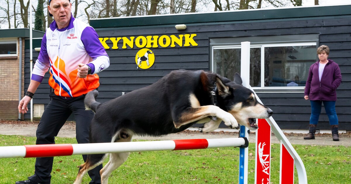 Henk en Tucker verdedigen Nederlandse eer bij Olympische Spelen van de ...