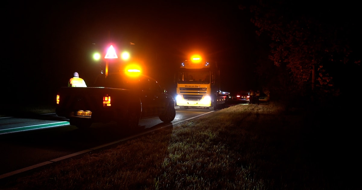 Hert zwaargewond bij botsing met auto op N332 tussen Holten en Laren.