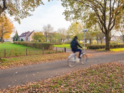 Plan ‘Lelystad Fietsstad’ moet fietsen in de stad veiliger en aantrekkelijker maken