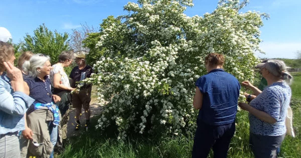 Rondleiding Voedselbos Brummen biedt kijkje in natuurrijke ontwikkeling