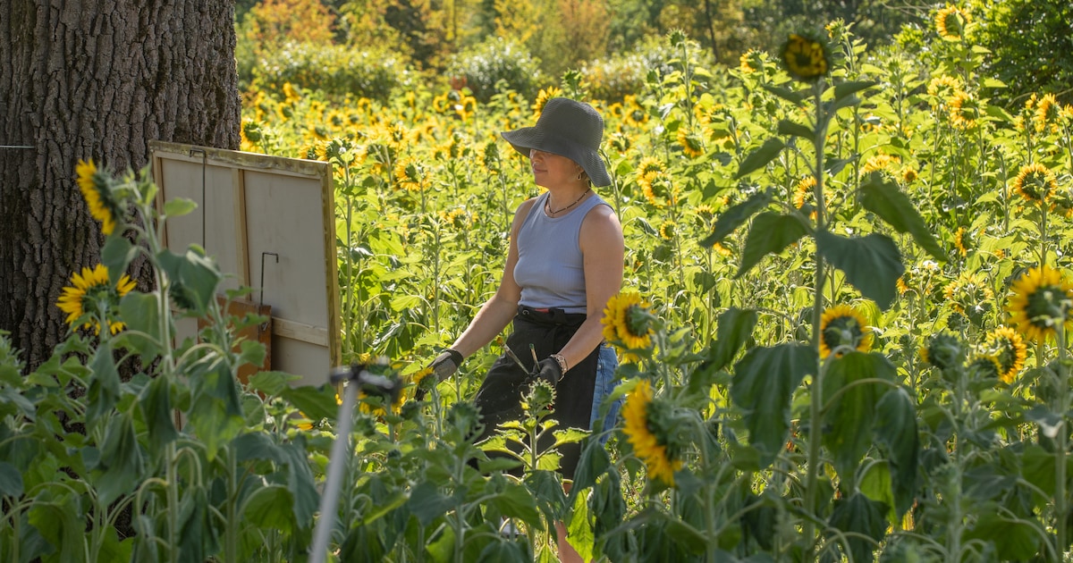 Buitenschilders exposeren hun kijk op het landschap in Brummen