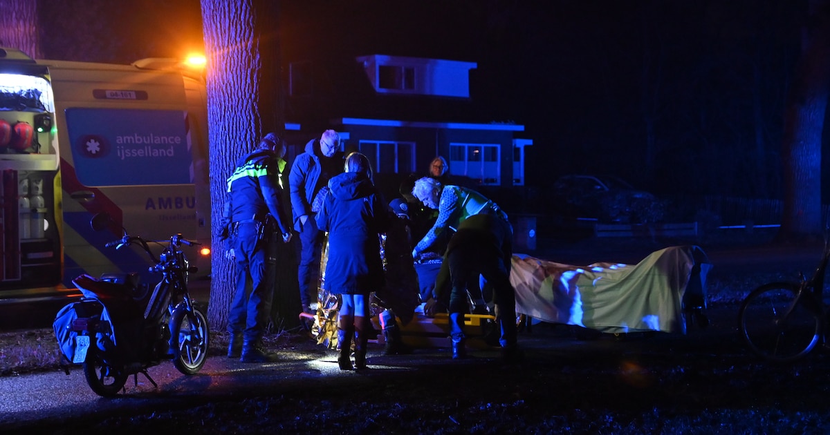 Man rijdt om onverklaarbare reden met snorfiets tegen boom in Steenwijk