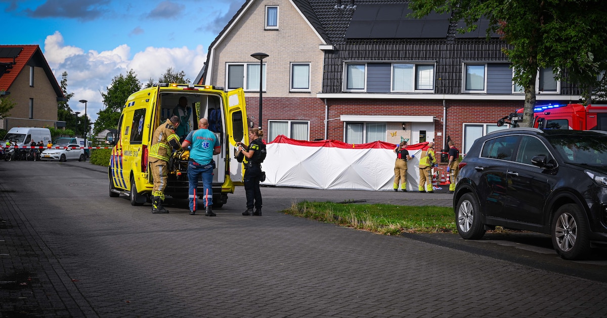 Drontens duo dat verdacht wordt van doodschieten vriend buren staat voor de rechter