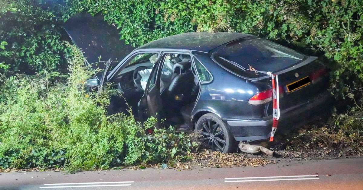 Bestuurder vlucht na botsing tegen lantaarnpaal in Emmen