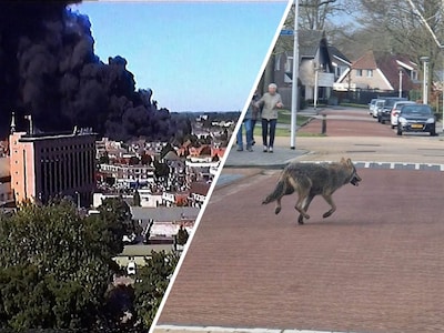 Ongeziene opnames van vuurwerkramp & Jerry heeft een geheim zwembad: 10 x deze video’s bekeken julli