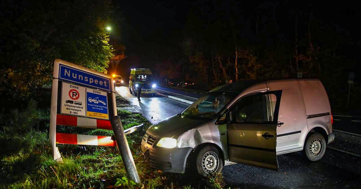 Man (18) uit Epe rijdt met busje tegen naambord en lantaarnpaal in Nunspeet