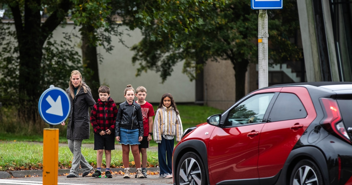 Oversteken tussen toeterende auto’s: school blij met 30 kilometerzone op ring Zutphen