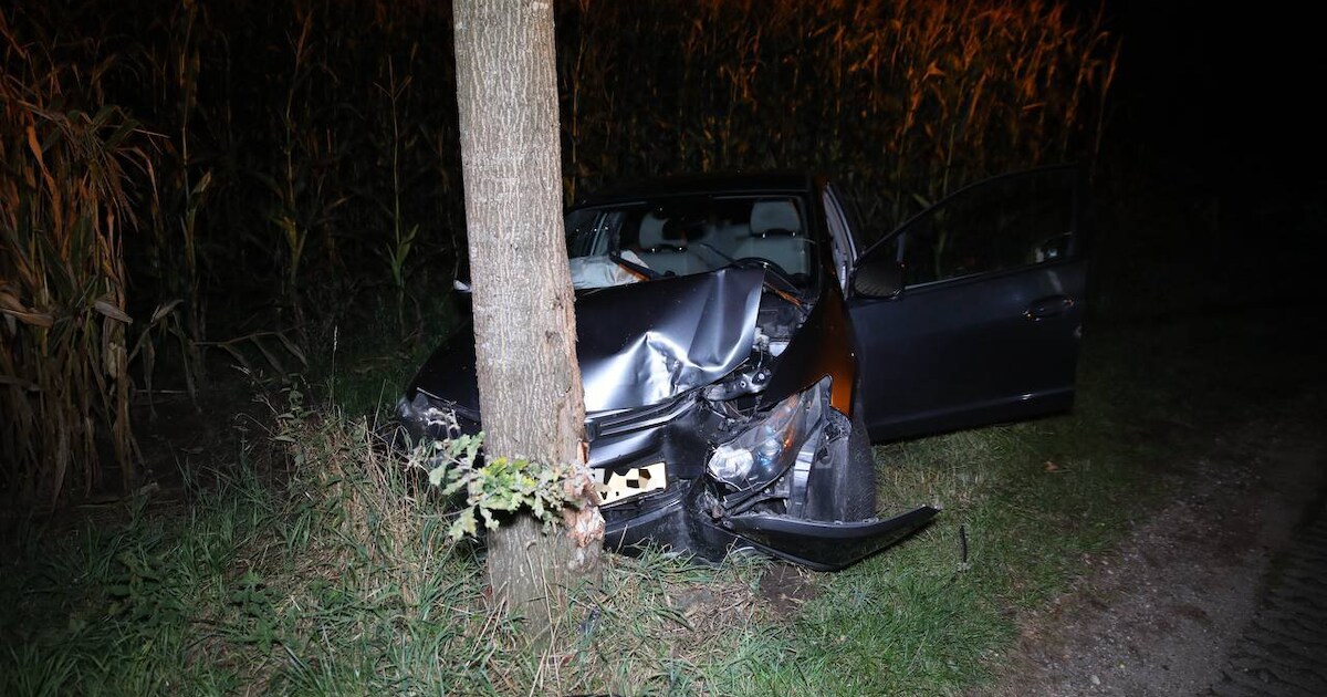 Ongeluk in Emst: auto in het donker tegen een boom, voertuig total loss.