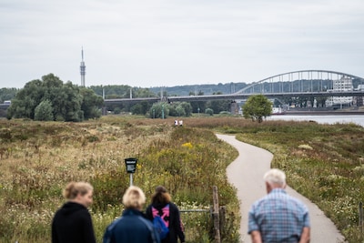 Nieuwe losloopgebieden voor honden, Arnhemse uiterwaarden blijven het domein van grote grazers