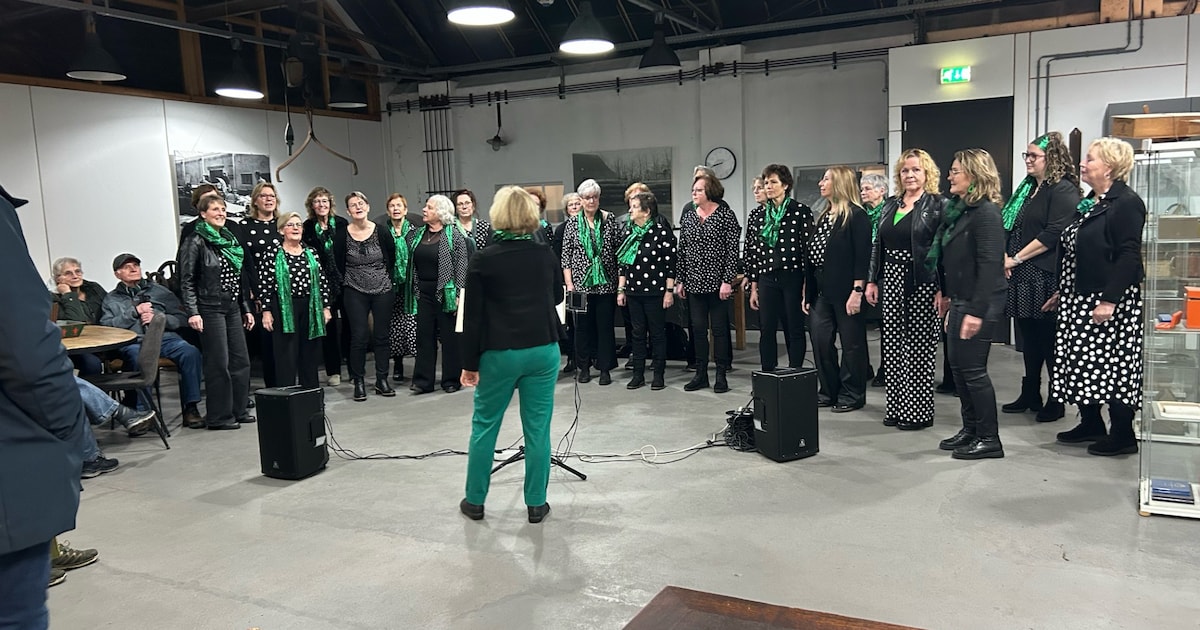 Dit stuurden jullie in: Succesvol optreden Winterwandeling Klarenbeek • Keurmerk voor Boon’s Markt V